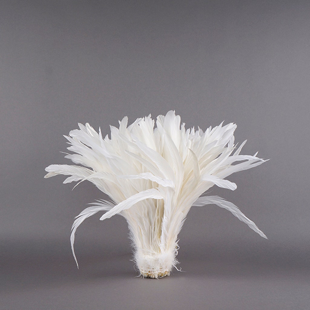 Rooster Coque Tails White - White