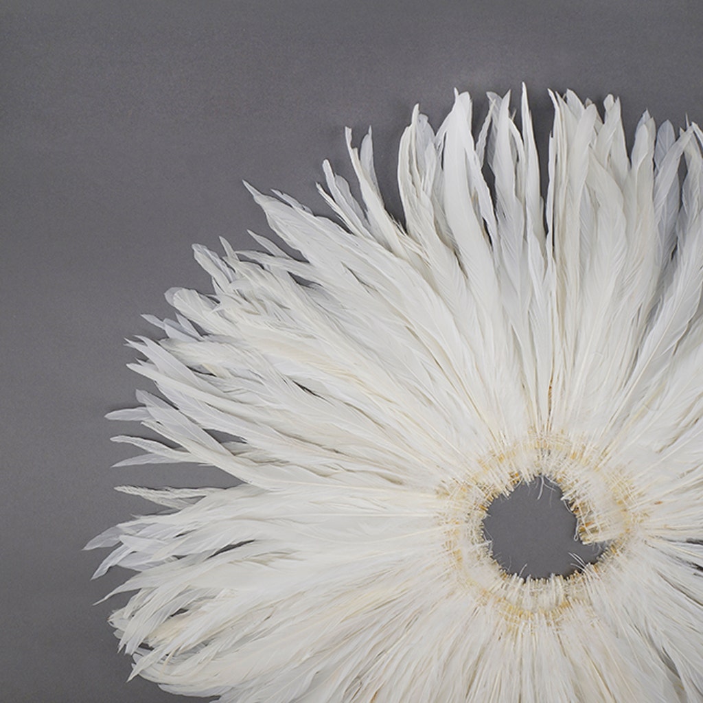 Rooster Coque Tails White - White