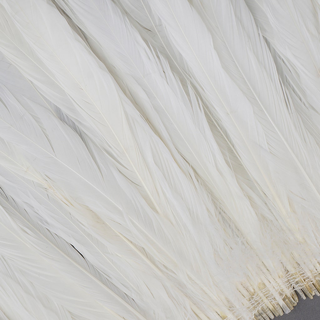 Rooster Coque Tails White - White