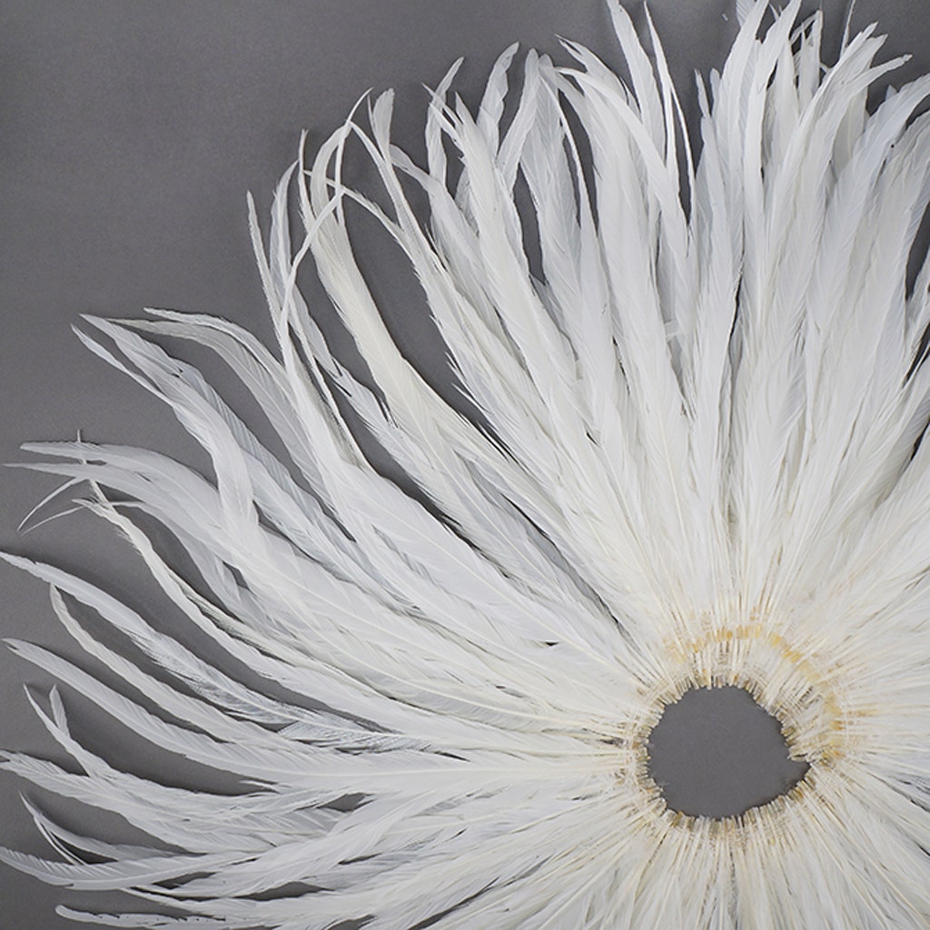 Rooster Coque Tails Feathers Bleached White 15-18" [1/4 LB Bulk]