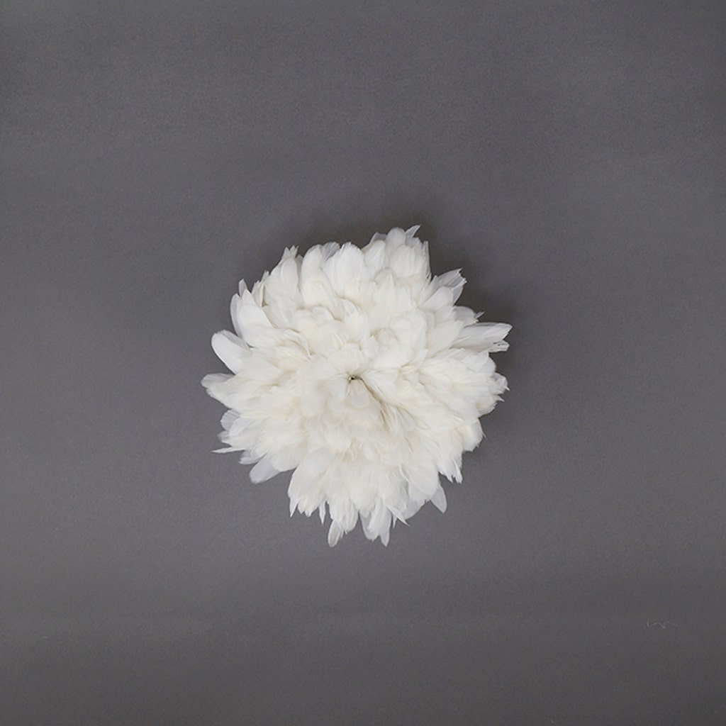 Rooster Coque Tails Feathers Bleached White 3-6" [1/4 LB Bulk]