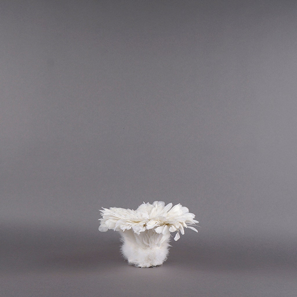 Rooster Coque Tails Feathers Bleached White 3-6" [1/4 LB Bulk]