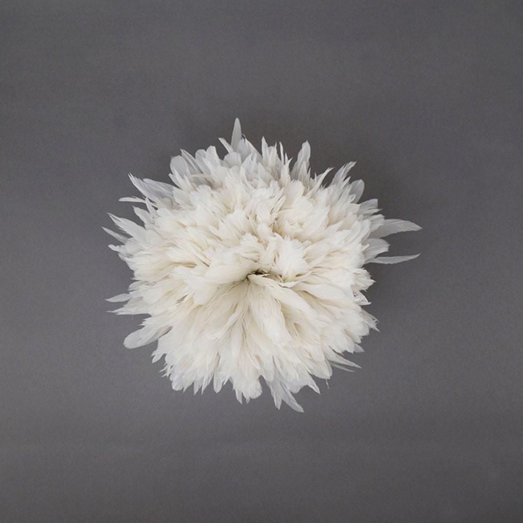 Rooster Coque Tails White-Dyed - White