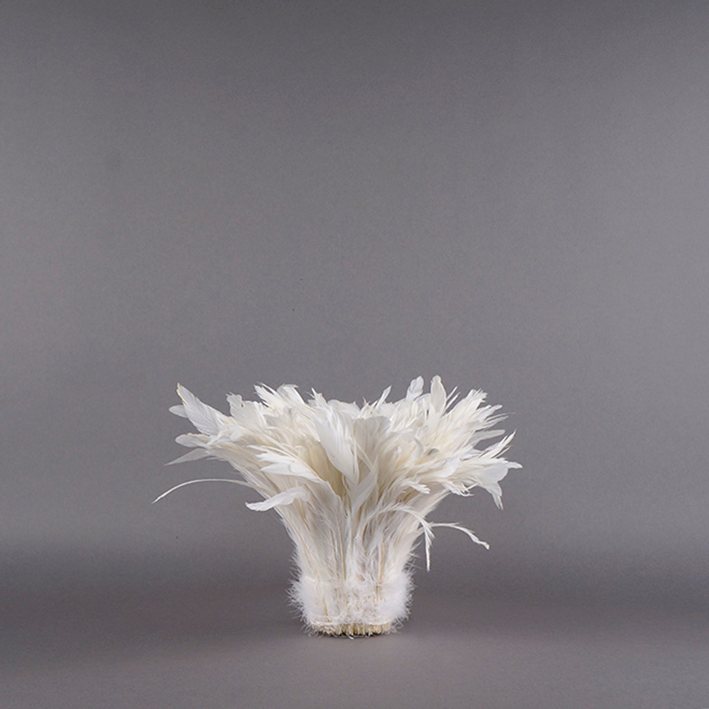 Rooster Coque Tails White-Dyed - White