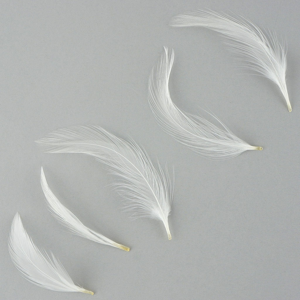 Loose Rooster Hackle Feather Dyed 1-3" - White