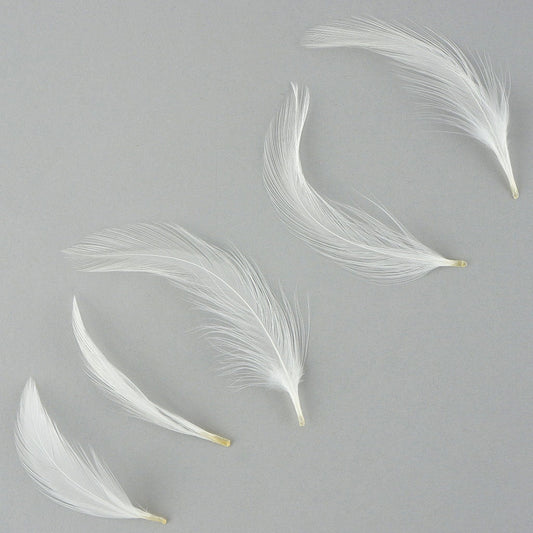 Loose Rooster Hackle Feather Dyed 1-3" - White