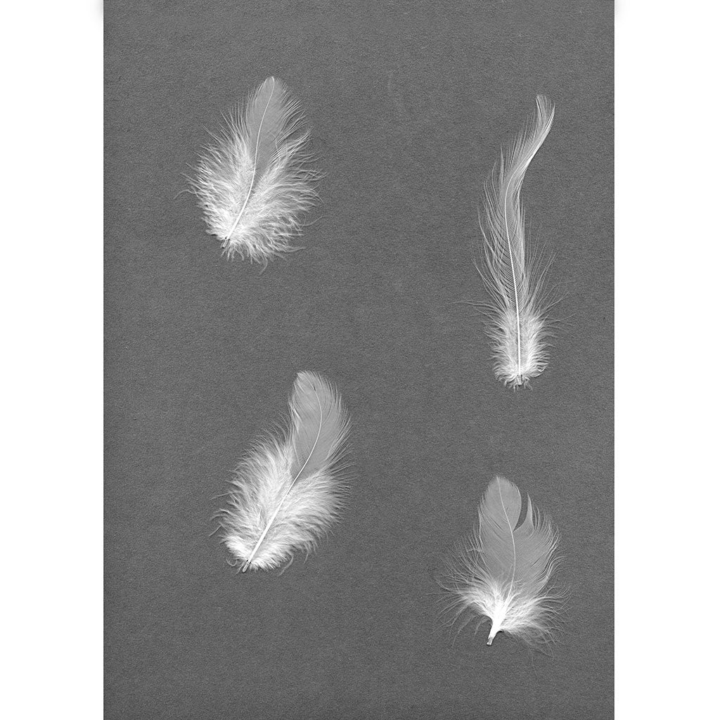 Loose Rooster Hackles Dyed - White