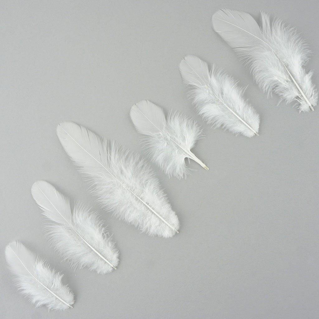 Loose Rooster Plumage Dyed - White