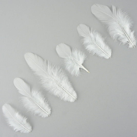 Loose Rooster Plumage Dyed - White