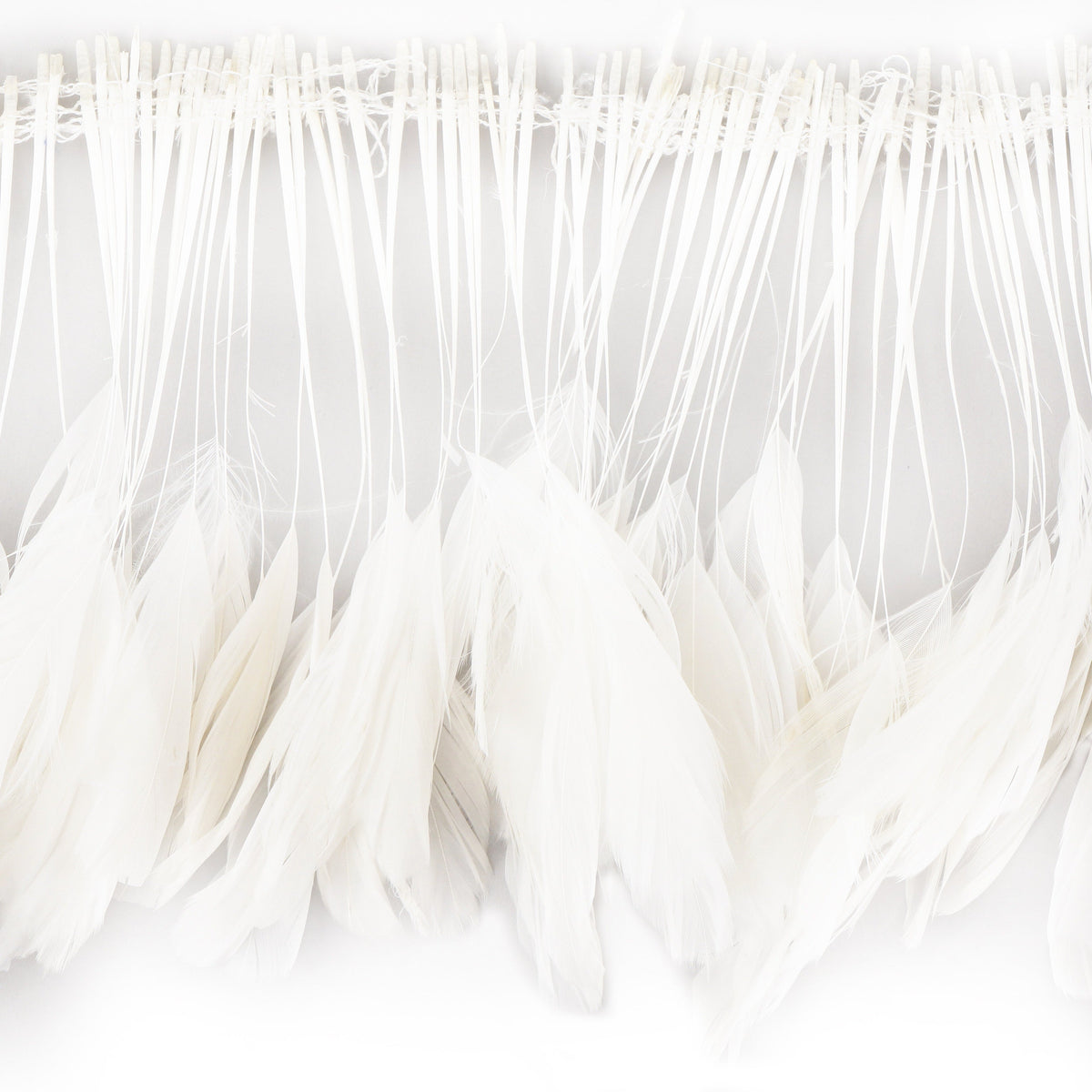 Stripped Rooster Coque Tails Feathers Bleach White 4-6” Strung [1 yard]