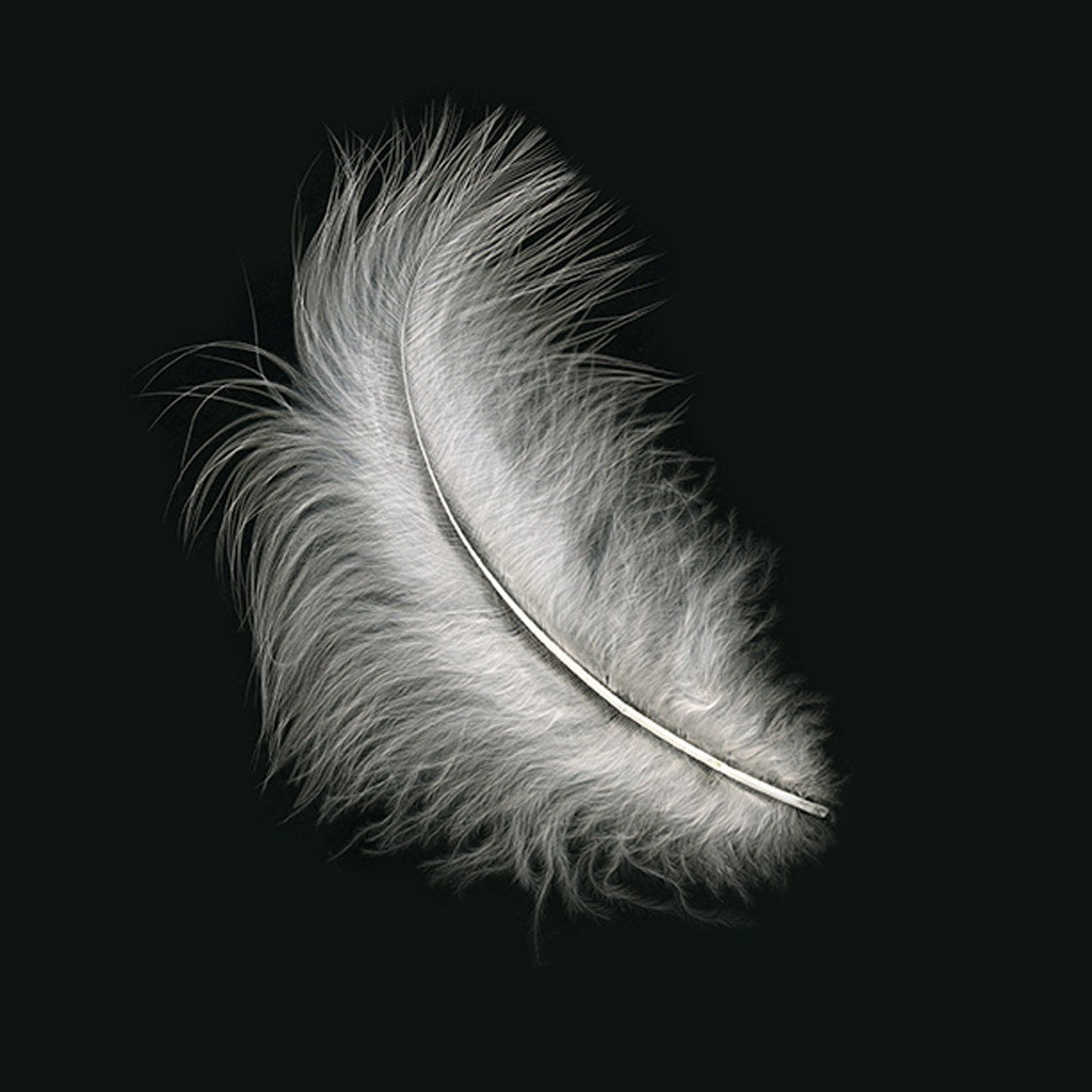 Loose Turkey Marabou Dyed - White