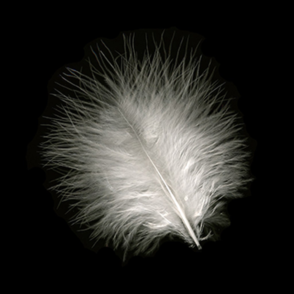 Loose Turkey Marabou Dyed - White