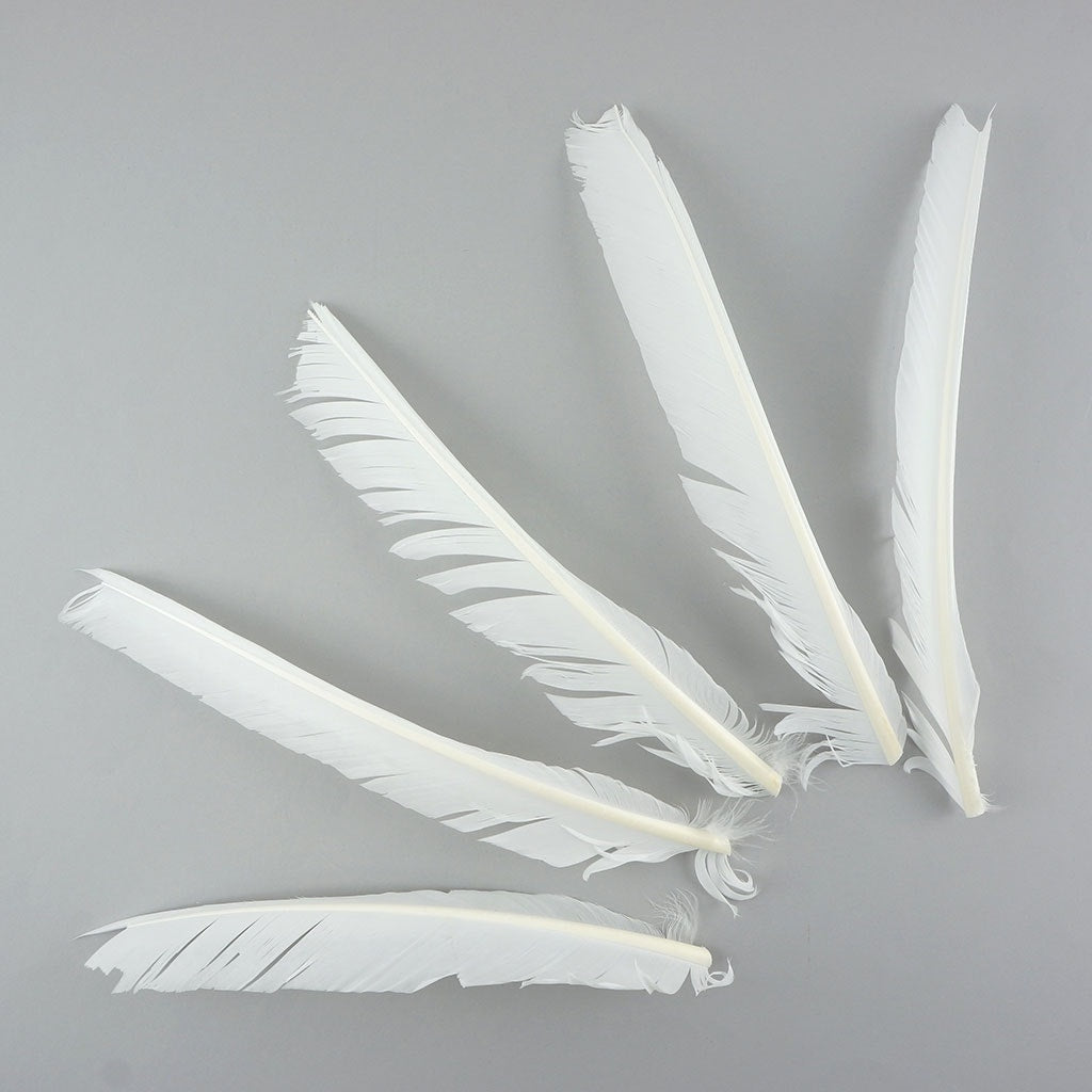 Turkey Pointers Left Wing 1/4 LB - White