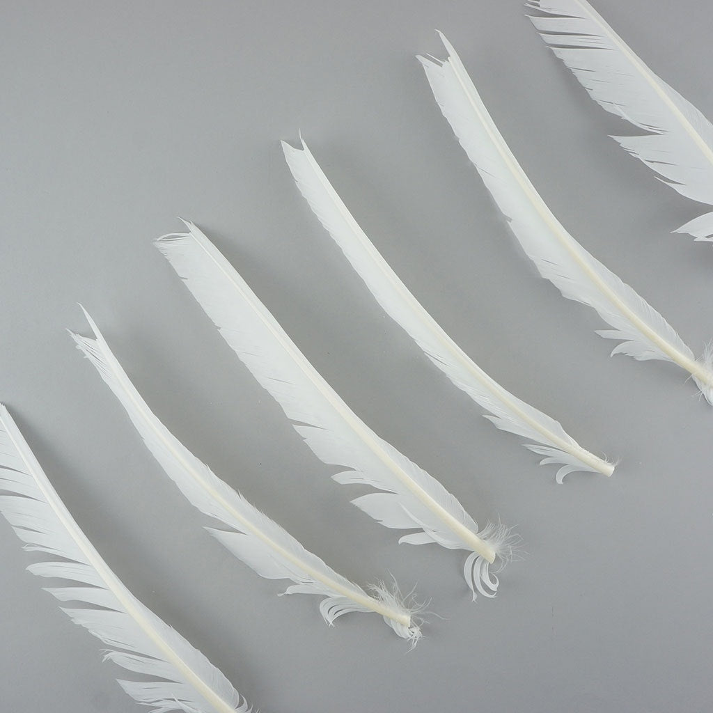 Turkey Pointers Left Wing 1/4 LB - White