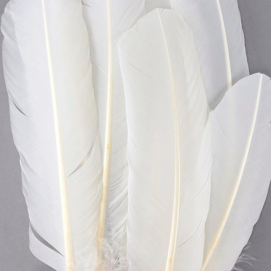 Turkey Quills Dyed - White