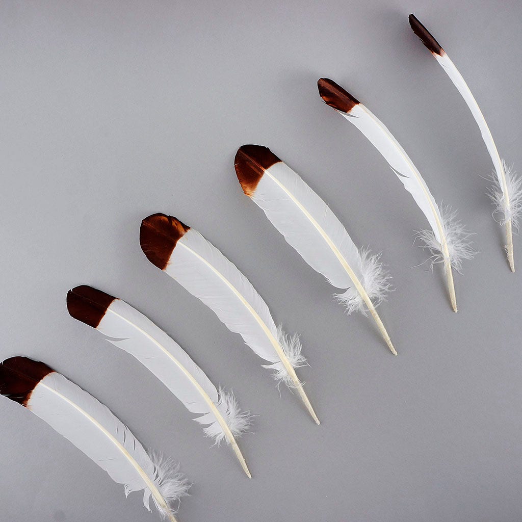 Imitation Eagle Turkey Quills - Brown