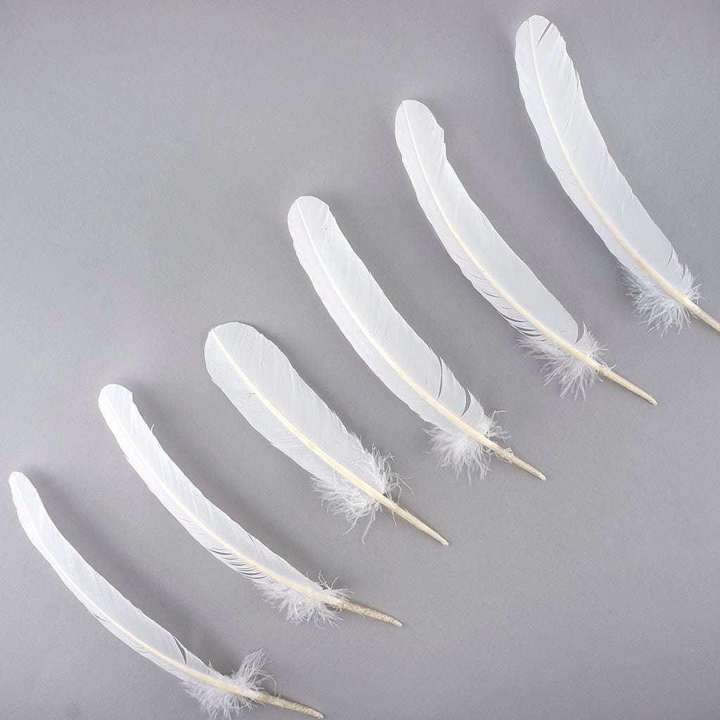 Turkey Quills Selected - White