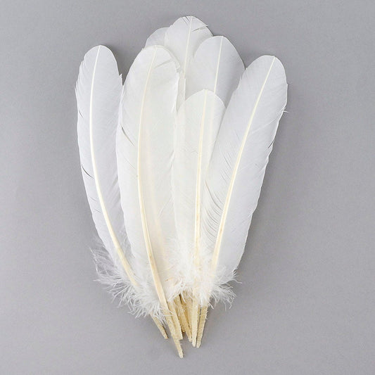 Turkey Quills Selected - White