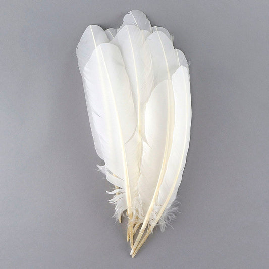 Turkey Quills by Pound - Left Wing - White