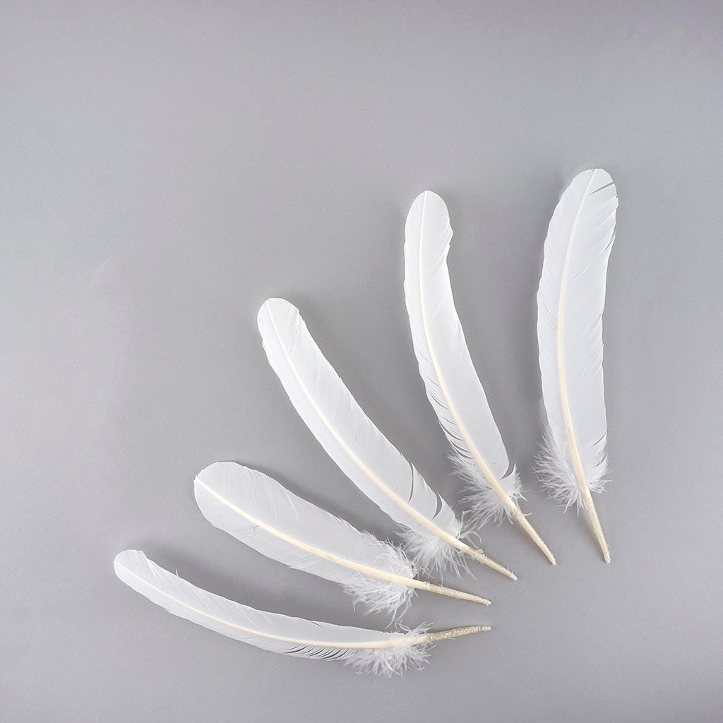 Turkey Quills by Pound - Right Wing - White