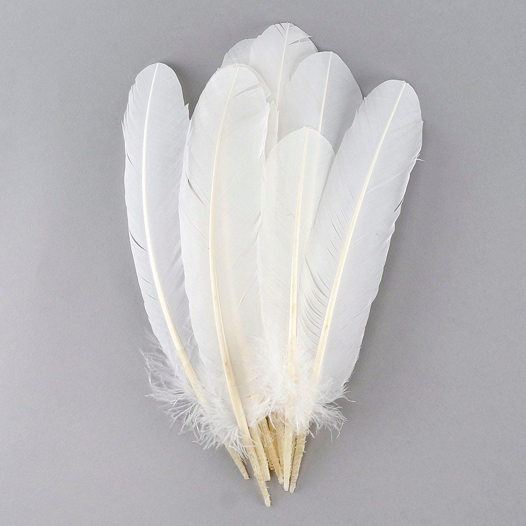 Turkey Quills by Pound - Right Wing - White