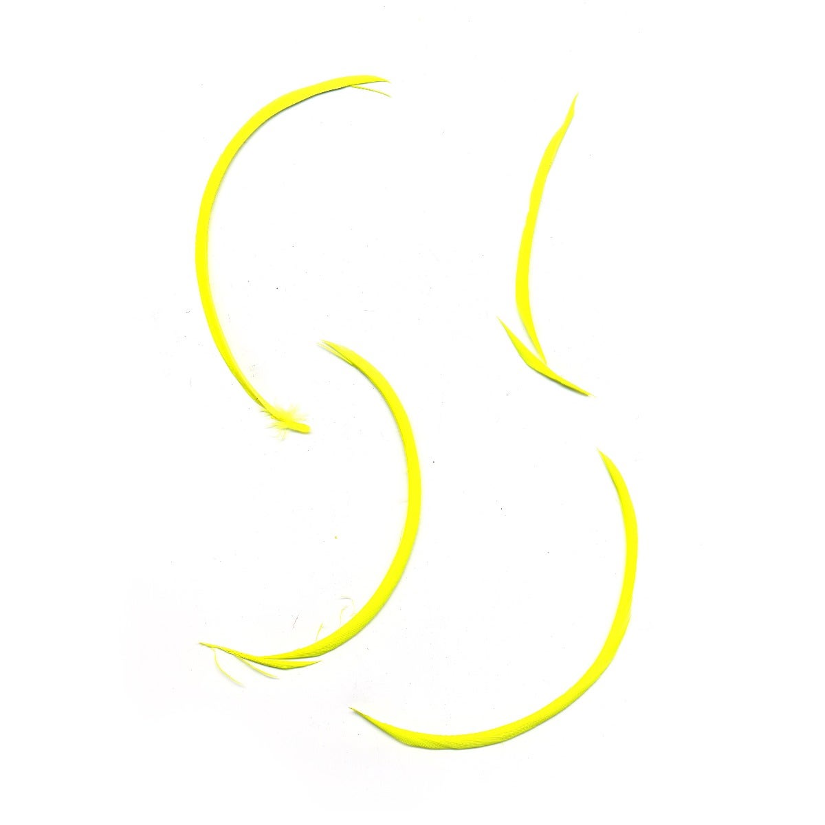 Loose Goose Biots Dyed Feathers 6-8" - Flourescent Yellow
