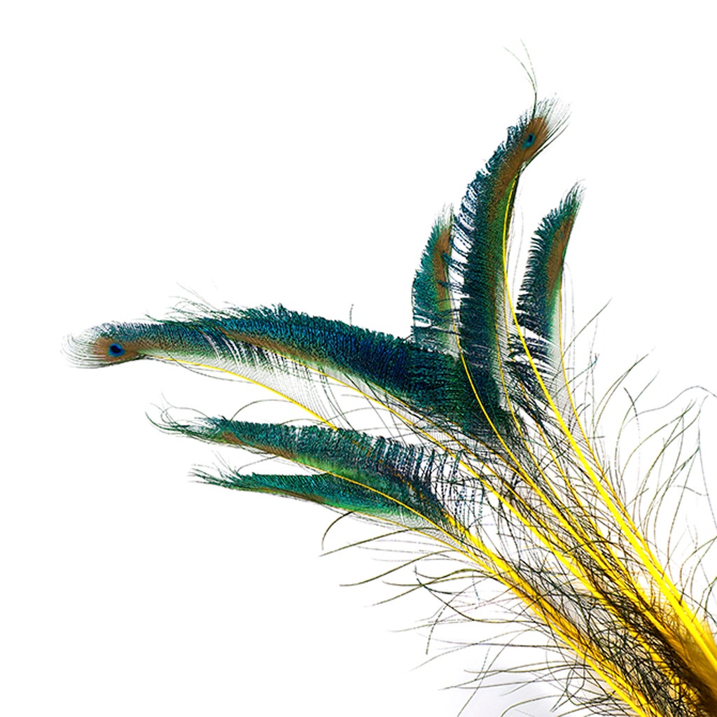 Peacock Swords Stem Dyed - Yellow