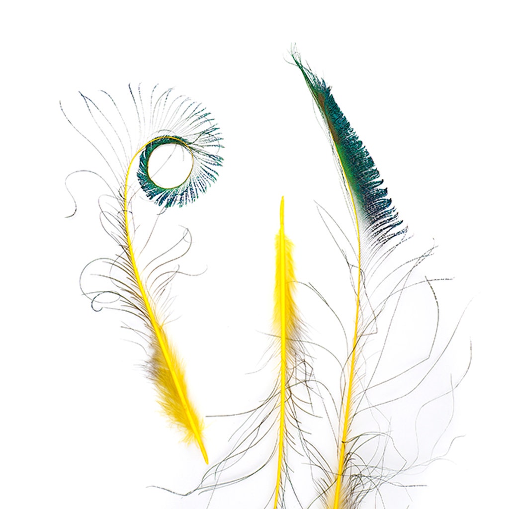 Peacock Swords Stem Dyed - Yellow