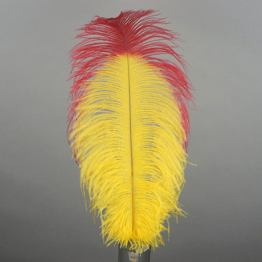 Ostrich Feathers Drabs Tipped Selected - Yellow/Red