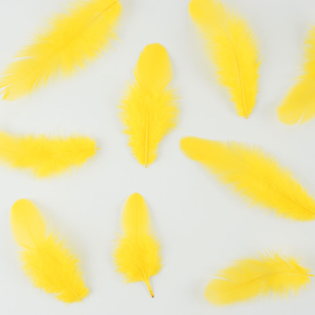 Rooster Plumage-White-Dyed - Yellow