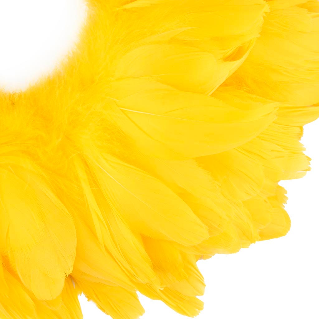 Goose Nagorie Feathers Dyed - Yellow