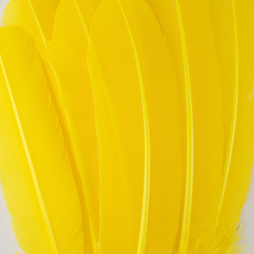 Turkey Quills Dyed Feathers - Yellow
