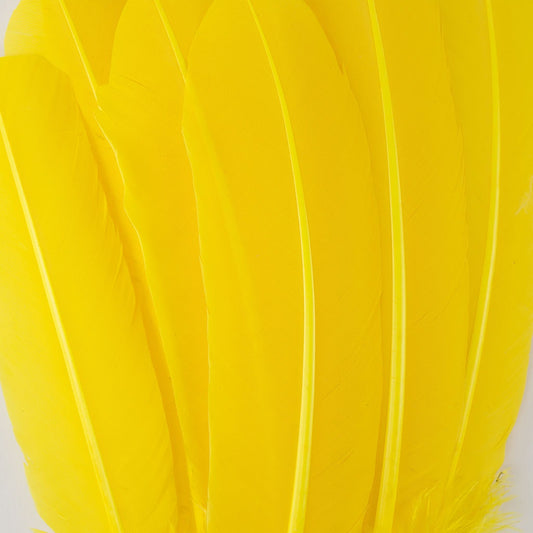 Turkey Quills Dyed Feathers - Yellow