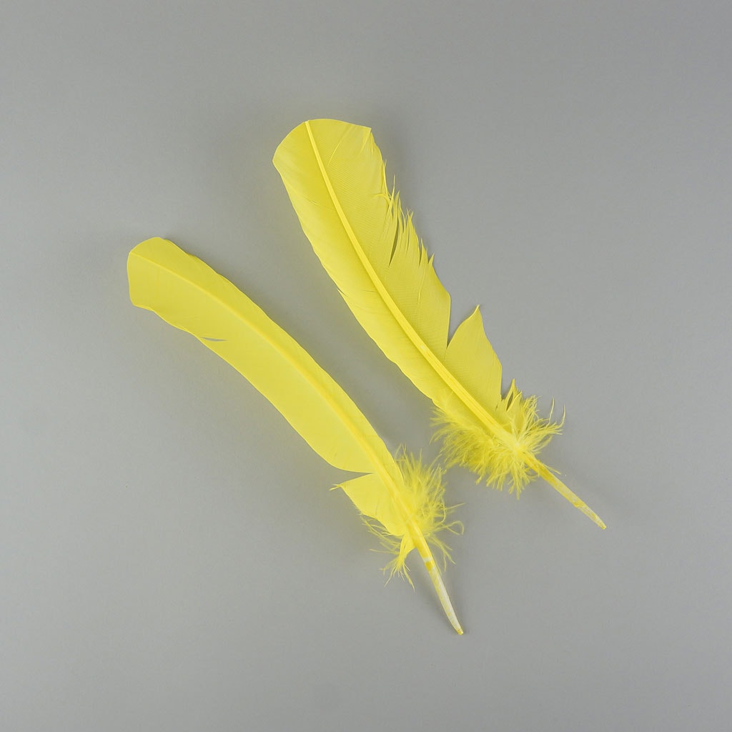 Turkey Quills Selected - Fluorescent Yellow