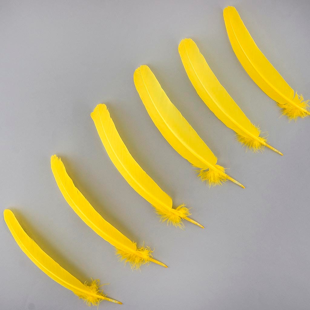 Turkey Quills by Pound - Right Wing - Yellow